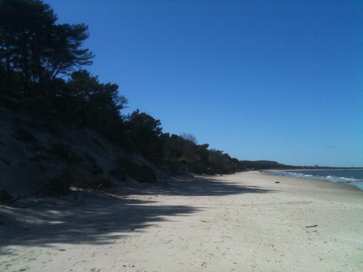 Zempin Ostseepark We 36 _Insel Use المظهر الخارجي الصورة